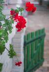 Hotel Provence Birtok