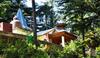Hostal Westend Homestay Shimla