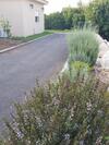Lodge Beit Haner Moshav Dor