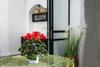 Apartamento Acre Two Wells Zimmer