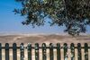 Villa Adi In The Desert