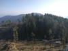 Cozy Stay In Fagu