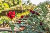 Bagno A Ripoli Villa Sleeps 10 Pool Air Con T764874