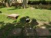 Hotel Ufanisi Resort - Kisii