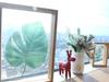 Apartamento Han S