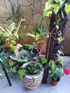 Hostal Guest House Letniy