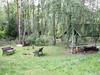 Dom Lesnika Holiday Park