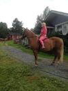 Guest House Mikli Home