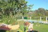 Villa Livadi