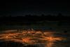 Aravali Nature Luxury Camp - Jawai