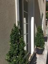 Apartamento Tuscany House Of Artist
