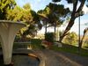 B&B Severini