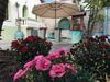 Hostal Residence R&b Tyrrhenum