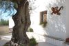 Agroturismo Santo Mercurio Country House