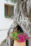 Agroturismo Santo Mercurio Country House