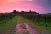 Apartamento Wine & Lake In Franciacorta