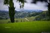 Apartamento Wine & Lake In Franciacorta