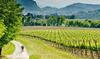 Apartamento Wine & Lake In Franciacorta
