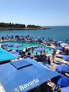 Apartmens Gjoni