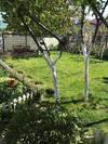 Hostal Guest House In Odessa