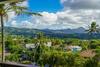 Kalaheo View