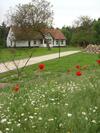 Apartamento Cinege Vend�gh�z