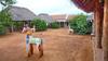 Hotel Kadambavanam Ethnic Village Resort