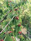 Hostal Guesthouse Novosolov