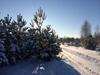 Holiday Park Peremilovy Gory