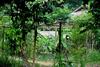 Ban Hieu Garden Lodge