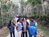 Evergreen Tent Stay & Trekking