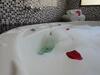 Hostal Chal�s Fazenda Vale Da Mata