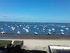 Apartment Vue Mer - Direct A La Plage