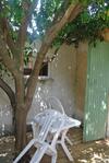 Hotel H�tel Les Mimosas