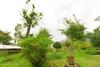 Cabana Serene 1bhk Home In Dharamshala