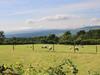 Pendleside, Clitheroe