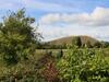 Pendleside, Clitheroe