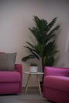 Natura Luxury Boutique Hotel Skopelos
