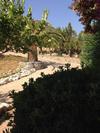Villa Musuri