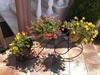 Apartamento Villa Mary 1