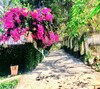 Hotel L�man Cap Resort & Spa