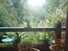 Hostal Brom�lia Sabi� & Cia