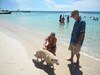 Apartamentos Mariposa Lodge