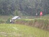 Hotel Tepi Sawah Lodge