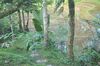 Hotel Tepi Sawah Lodge