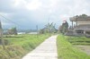 Hotel Tepi Sawah Lodge