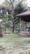 Hotel Tepi Sawah Lodge