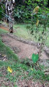 Hotel Tepi Sawah Lodge