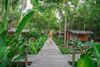 Hotel Jungle Koh Kood Resort