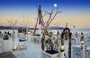 Hotel Goddess Of Bodrum - All Inclusive